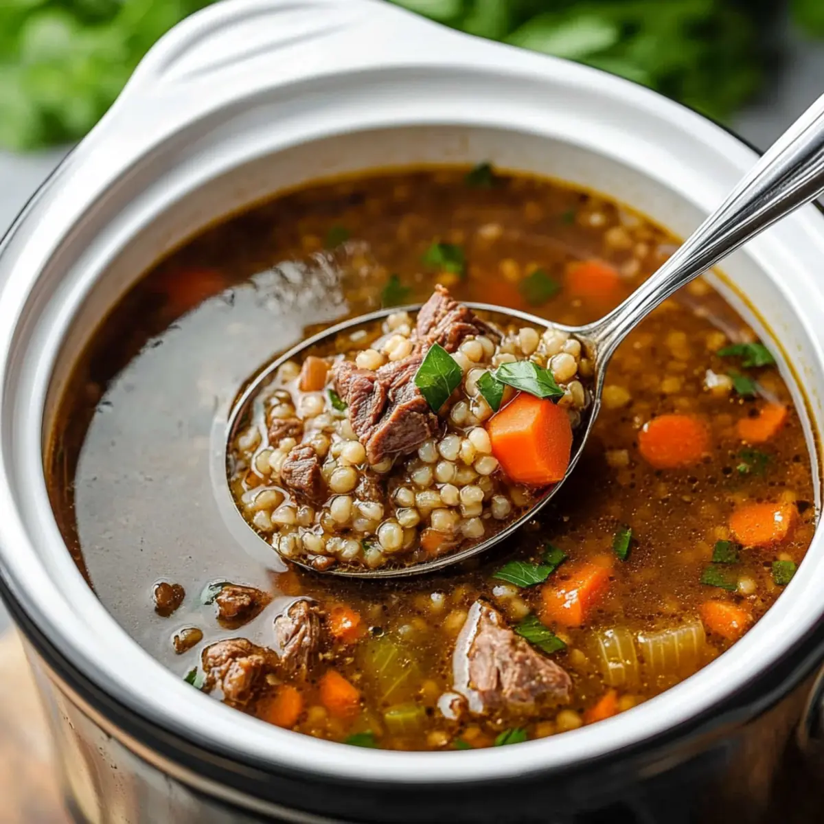 Slow Cooker Beef Barley Soup