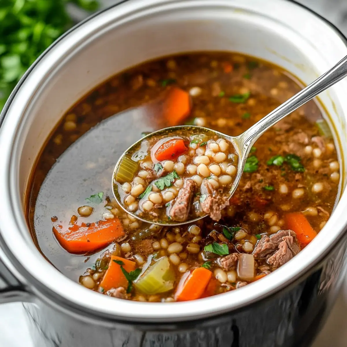 Slow Cooker Beef Barley Soup